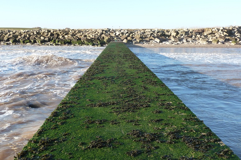 EAST YORKSHIRE COASTAL EROSION TERMINAL GROYNE EFFECT (TGE)